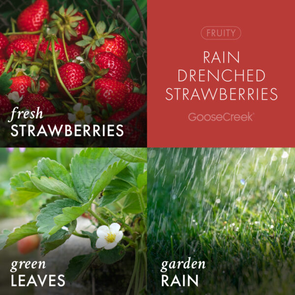 Rain Drenched Strawberries 3-Wick Candle - Image 3