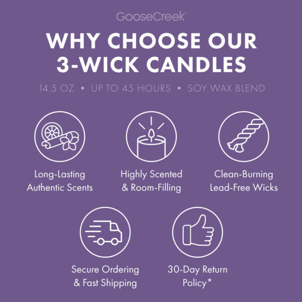 Sandy Cheeks 3-Wick Candle - Image 4