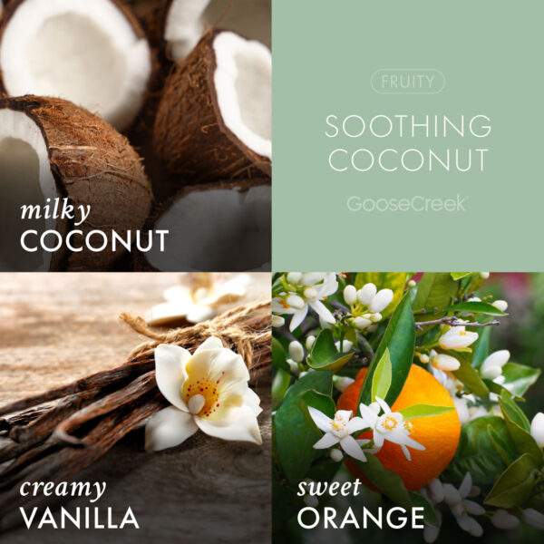 Soothing Coconut 3-Wick Candle - Image 3