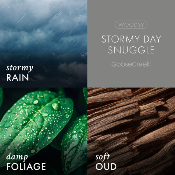 Stormy Day Snuggle 3-Wick Candle - Image 3