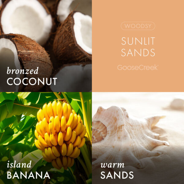 Sunlit Sands 3-Wick Candle - Image 4