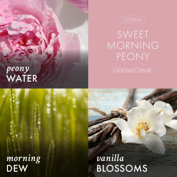Sweet Morning Peony 3-Wick Candle - Image 3