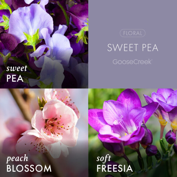 Sweet Pea Large 3-Wick Candle - Image 3