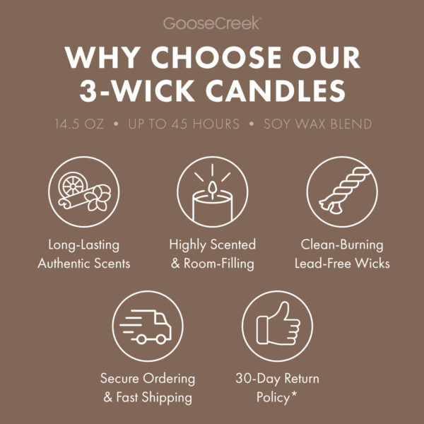 Sweet Shop Belgium Large 3-Wick Candle - Image 4