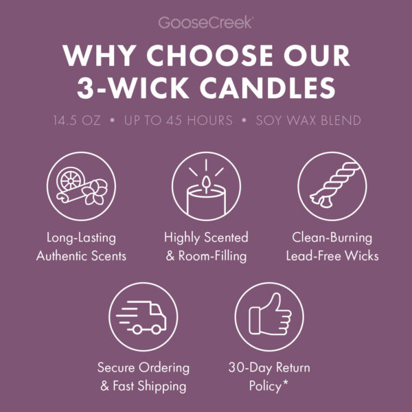 Tuscan Vineyard 3-Wick Candle - Image 4