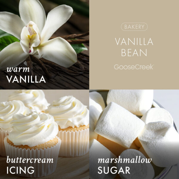Vanilla Bean 3-Wick Candle - Image 2