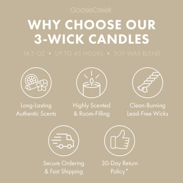 Vanilla Bean 3-Wick Candle - Image 3