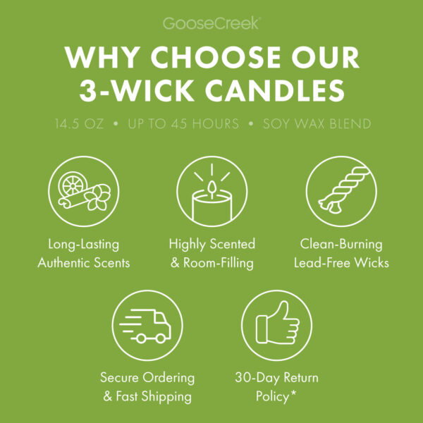 Watermelon Bubble Gum 3-Wick Candle - Image 4
