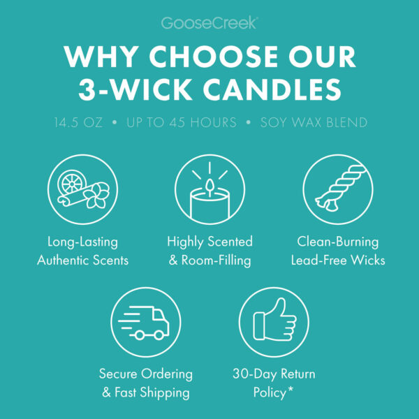 Welcome to Bikini Bottom 3-Wick Candle - Image 4