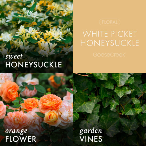 White Picket Honeysuckle 3-Wick Candle - Image 3