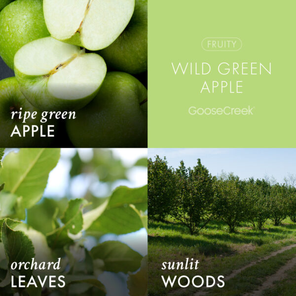 Wild Green Apple 3-Wick Candle - Image 3