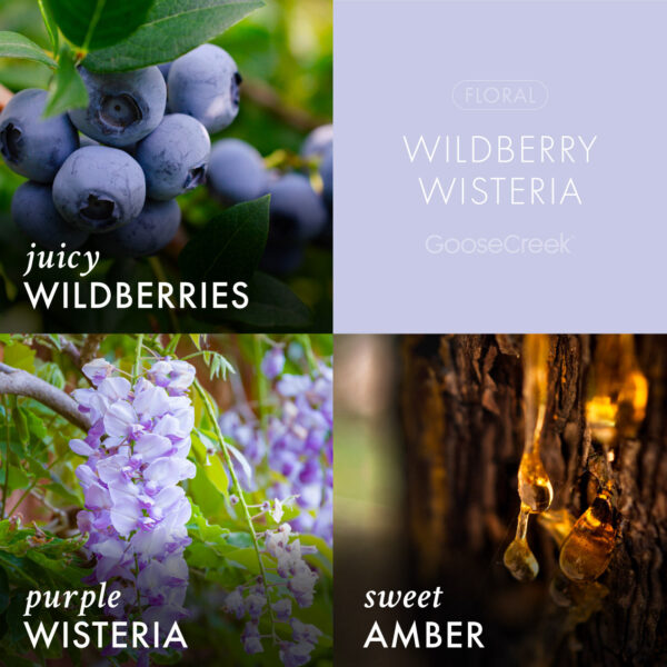 Wildberry Wisteria 3-Wick Candle - Image 3