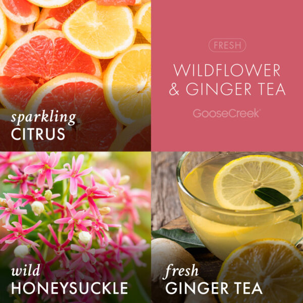 Wildflower Ginger Tea Aromatherapy 3-Wick Candle - Image 3