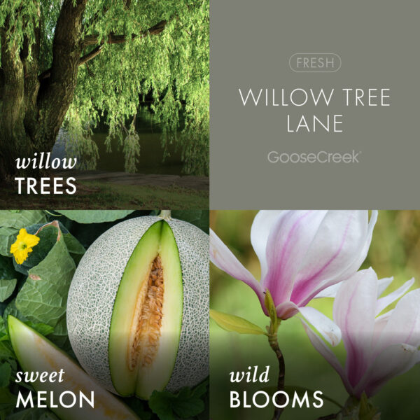 Willow Tree Lane 3-Wick Candle - Image 3