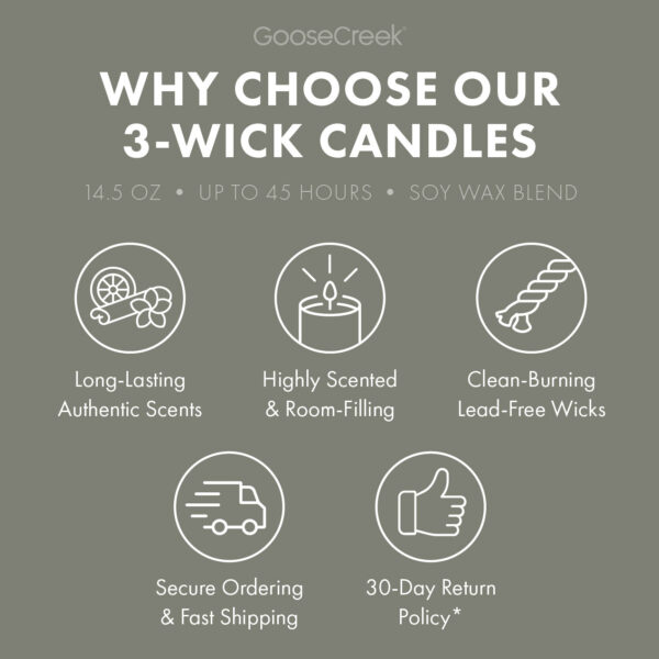 Willow Tree Lane 3-Wick Candle - Image 4